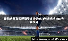 羽联总决赛 冯彦哲／黄东萍2-0蒋振邦／魏雅欣夺冠